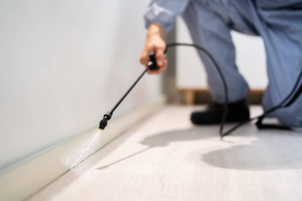 Licensed Termite Control service in Quincy, MI - Nex Pest Control