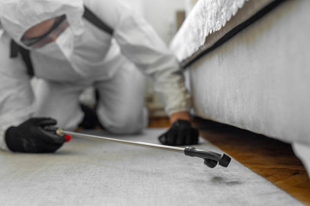 Professional Termite Control technician working in Quincy, MI