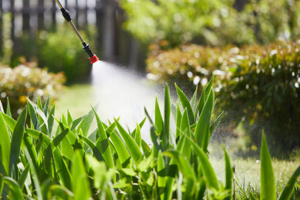 24/7 Emergency Termite Control experts in Quincy, MI