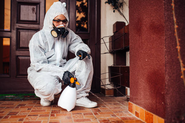Reliable Termite Control contractor in Quincy, MI by Nex Pest Control