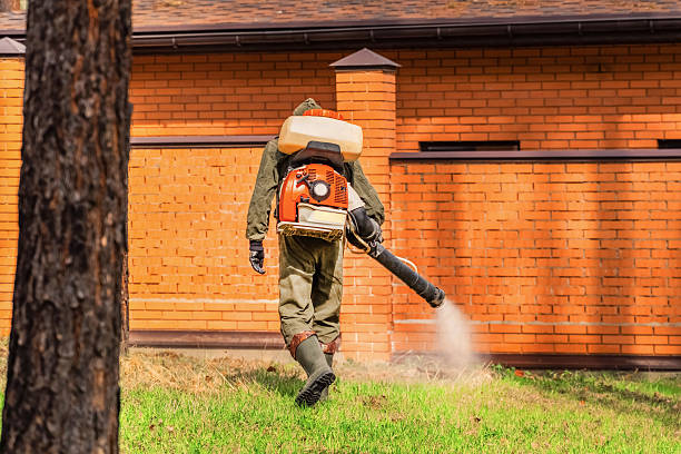 Top rated local Termite Control specialists in Quincy, MI
